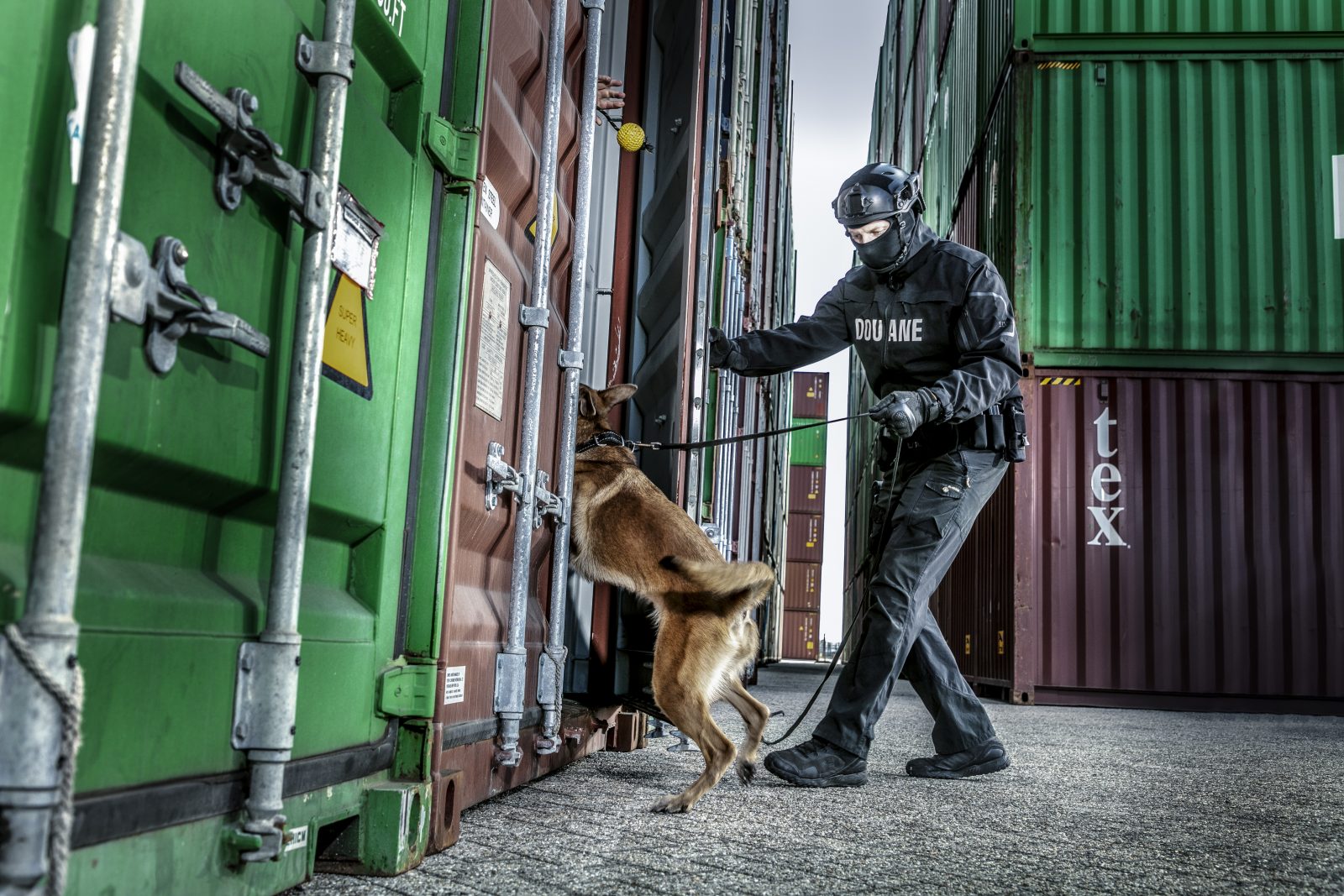 Een Douanemedewerker met een speurhond onderzoeken een zeecontainer.
