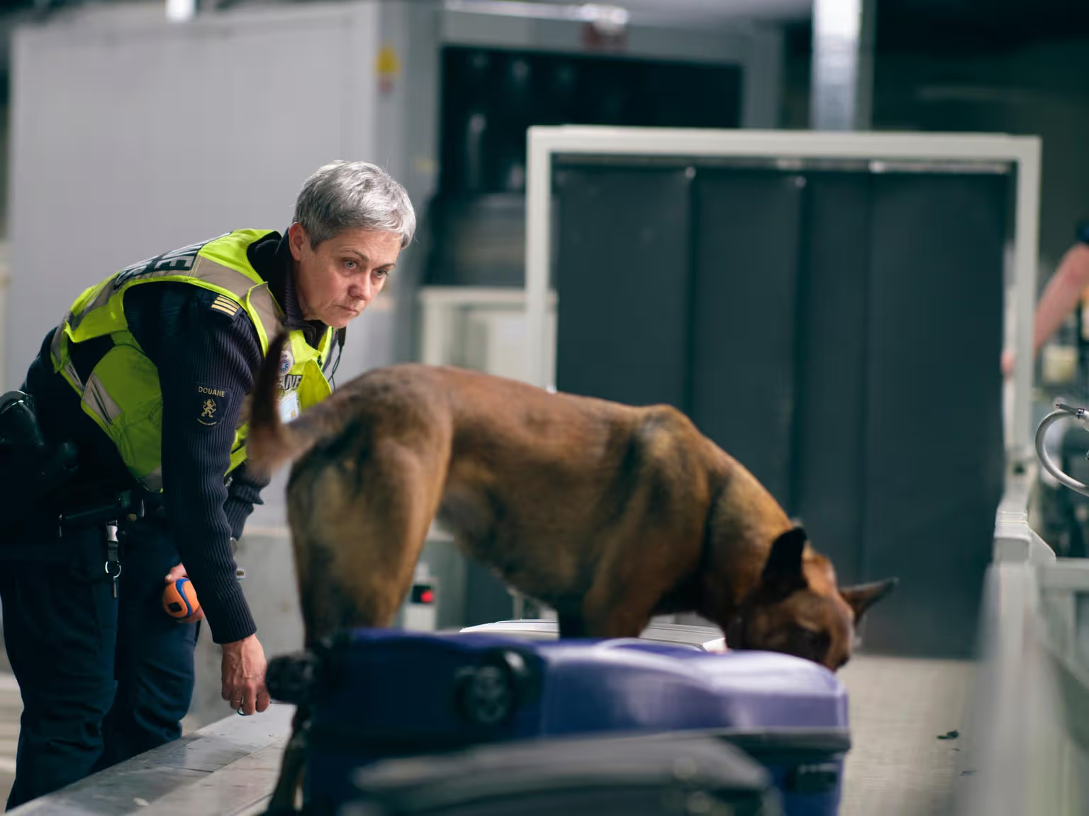 Douanier en speurhond bij een bagagecontrole.