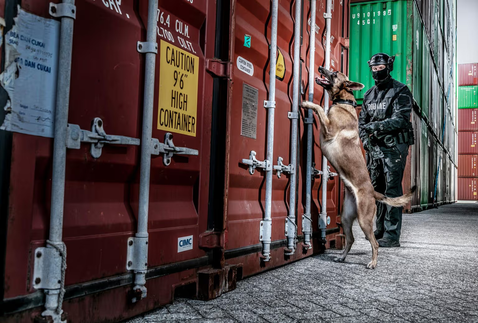 Lid van team Bijzondere Bijstand staat met zijn speurhond bij een container in de haven van Rotterdam.