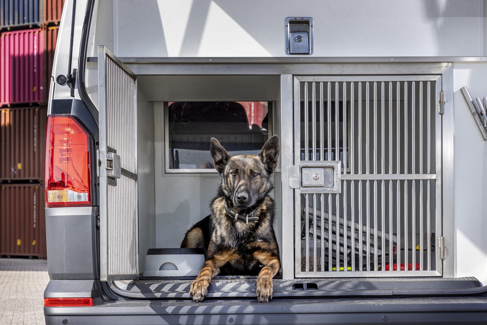Een speurhond rust uit in een bus van de Douane. 