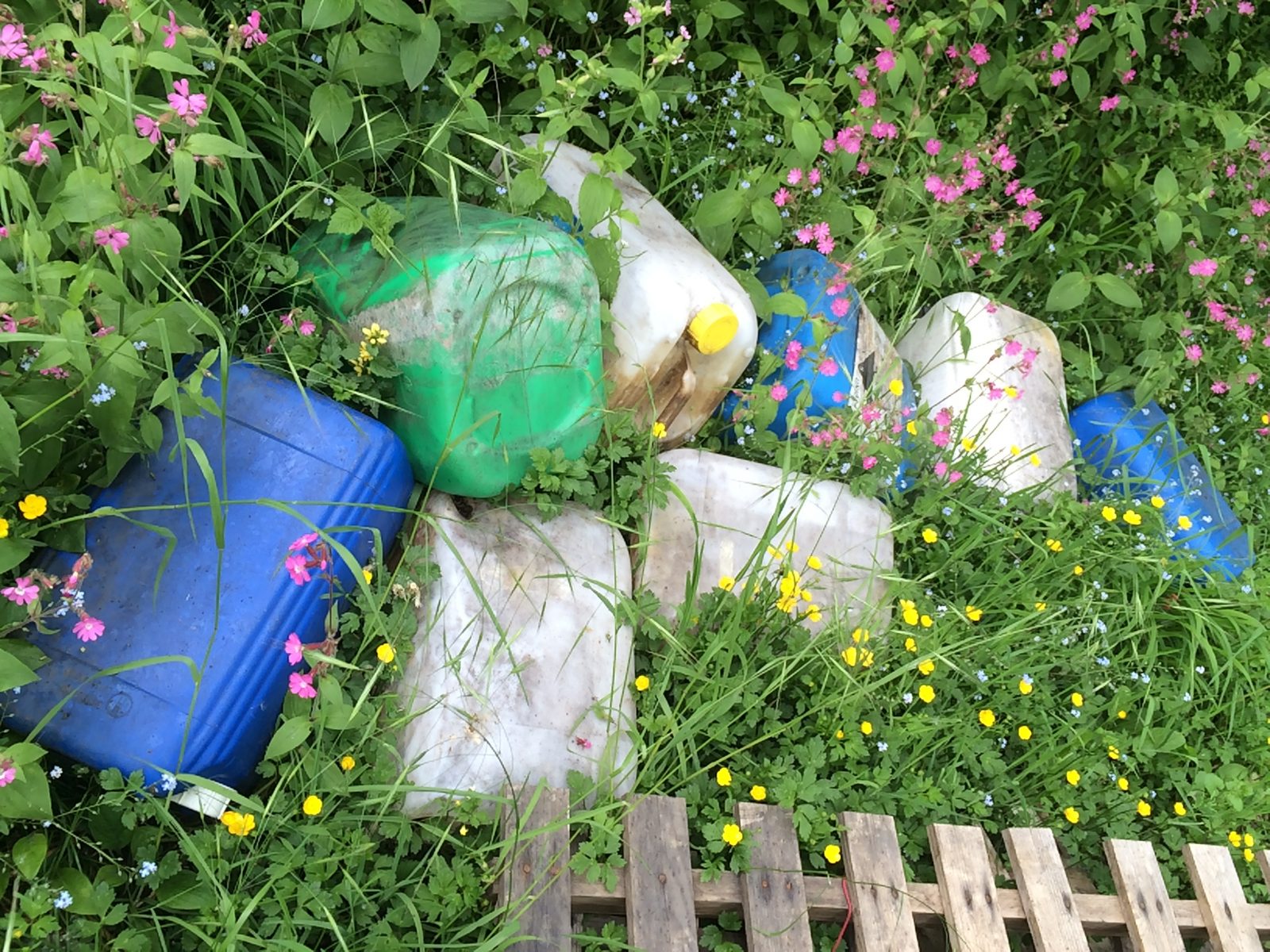 Gedumpte drugsvaten in de natuur. 